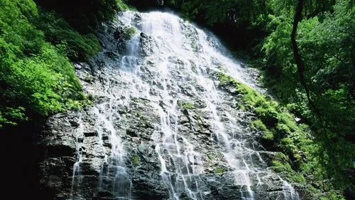 工业电子